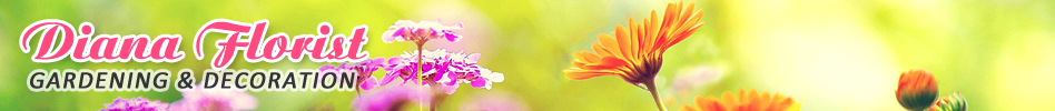 Toko Bunga di Jakarta Pusat Diana Florist (085691999683) Jakarta Bogor Depok Tangerang Bekasi